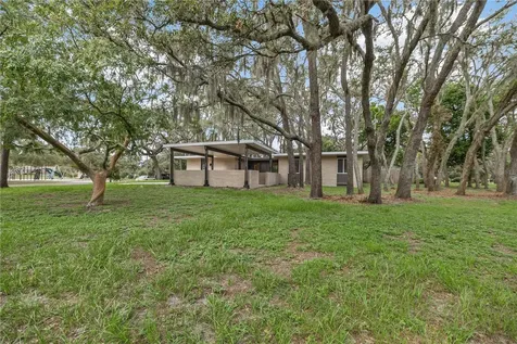 426 Fern Cliff Avenue Tampa FL 33617