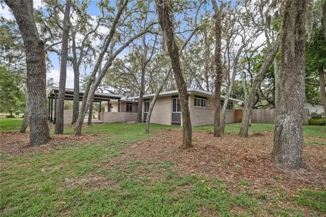426 Fern Cliff Avenue Tampa FL 33617