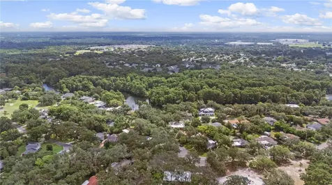 426 Fern Cliff Avenue Tampa FL 33617