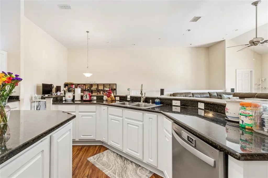 21041 Sunpoint Way Lutz FL 33558