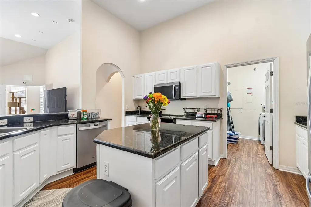 21041 Sunpoint Way Lutz FL 33558