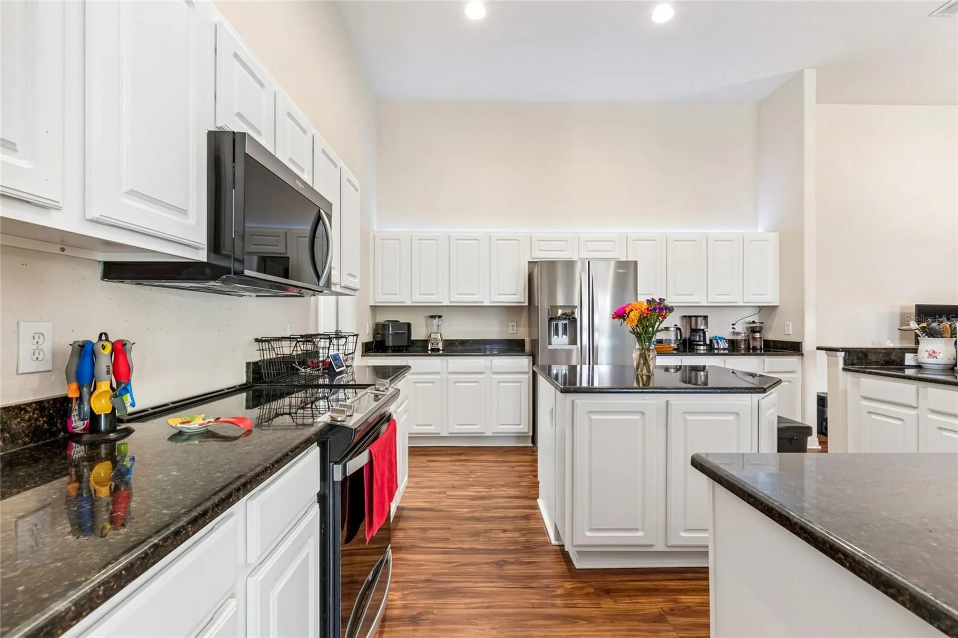 21041 Sunpoint Way Lutz FL 33558