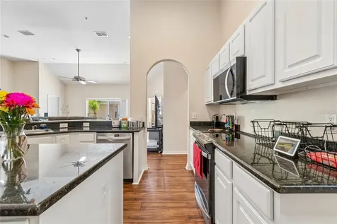 21041 Sunpoint Way Lutz FL 33558