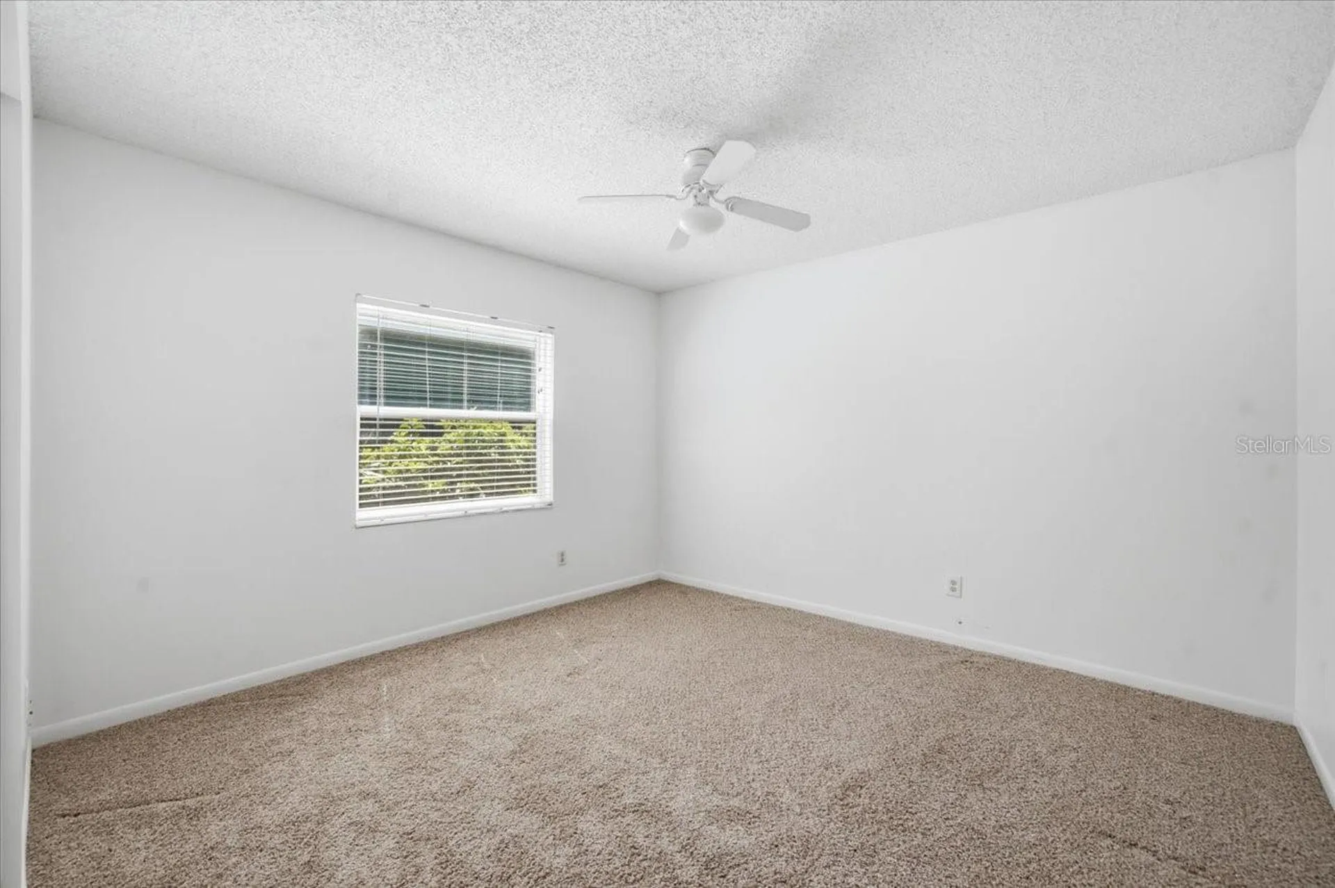 16330 Bonneville Drive Tampa FL 33624