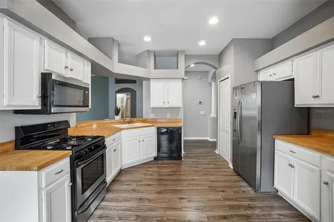 6111 Gannetside Place Lithia FL 33547