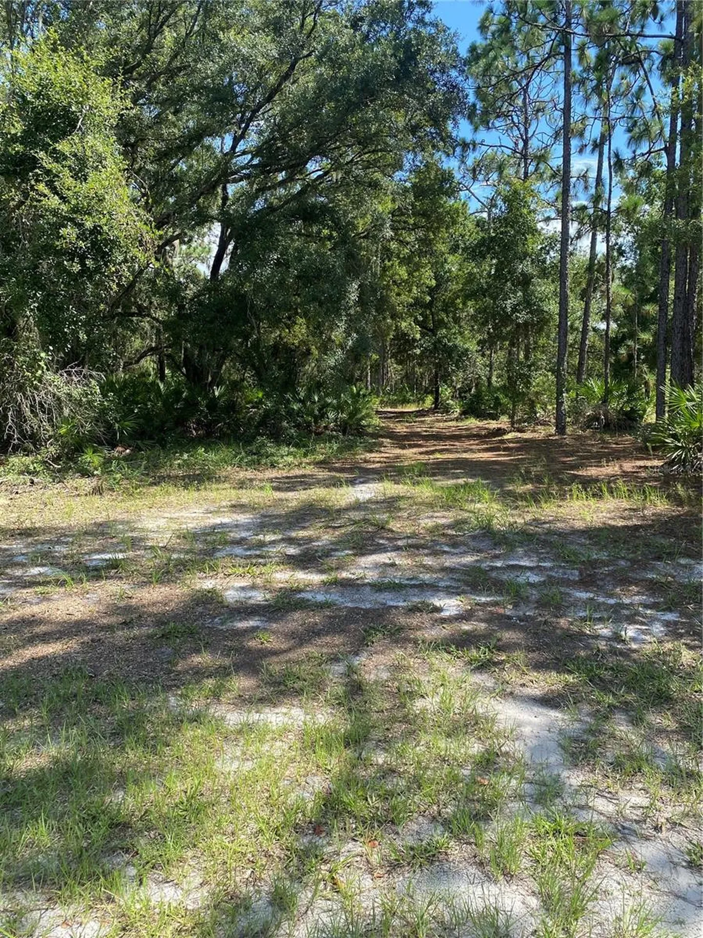 0 Oleander Drive Indian Lake Estates FL 33855