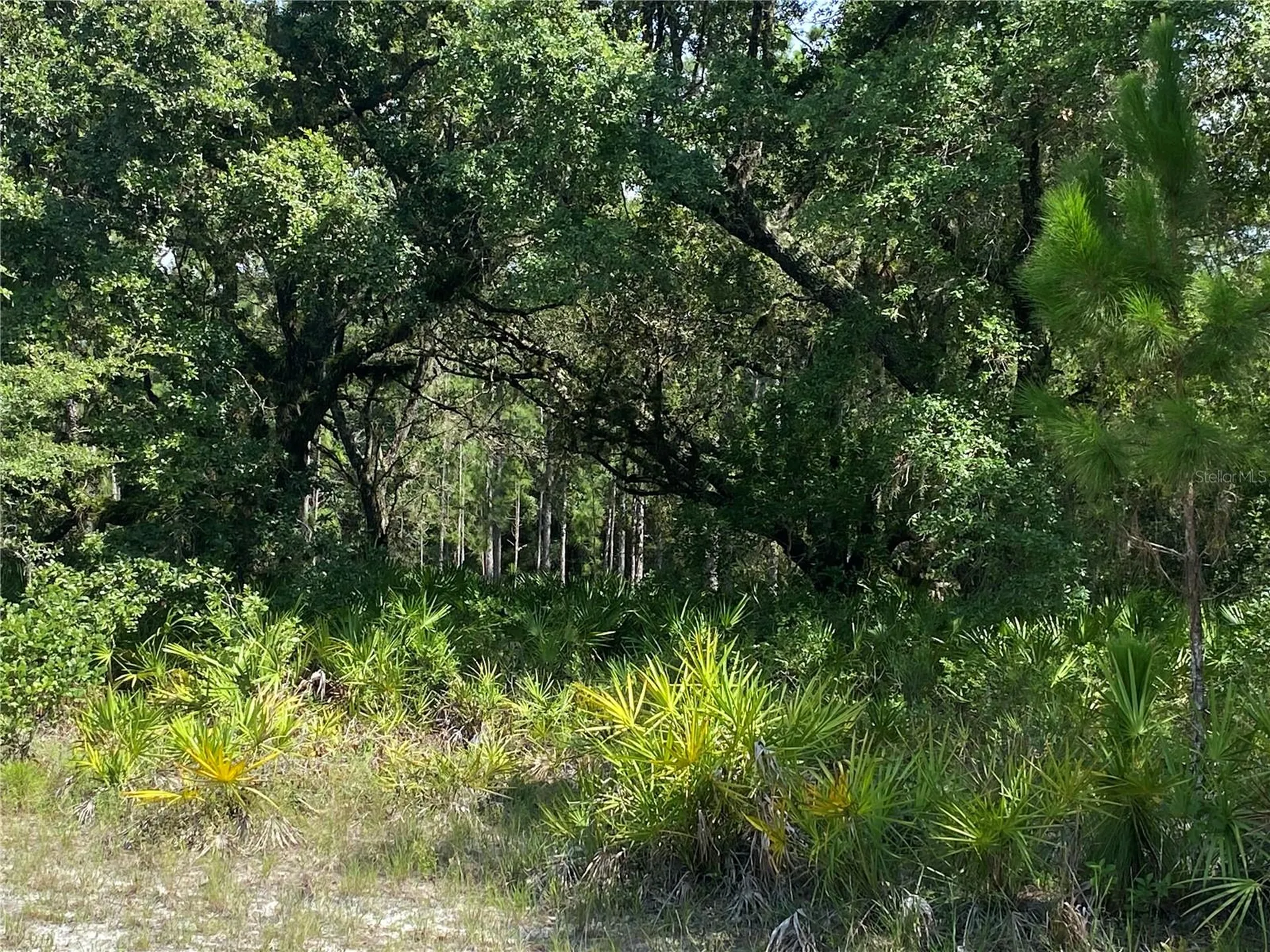 0 Oleander Drive Indian Lake Estates FL 33855