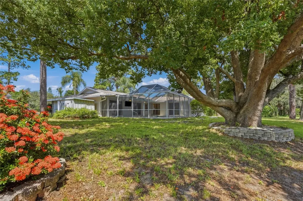 505 Bamboo Court Tarpon Springs FL 34689