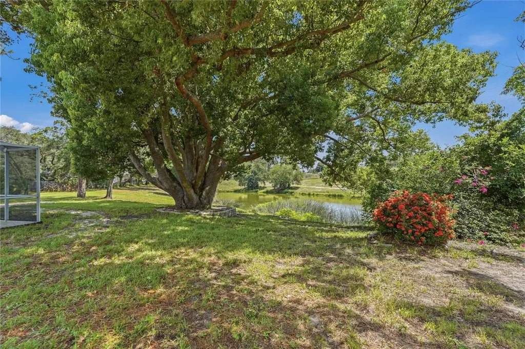 505 Bamboo Court Tarpon Springs FL 34689