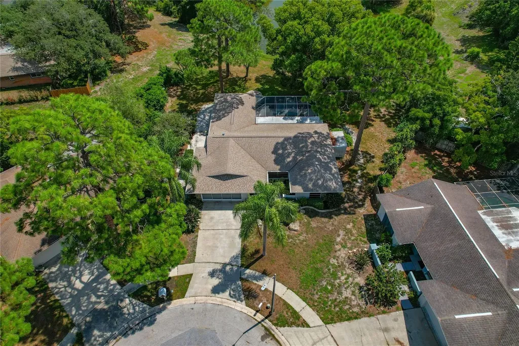 505 Bamboo Court Tarpon Springs FL 34689