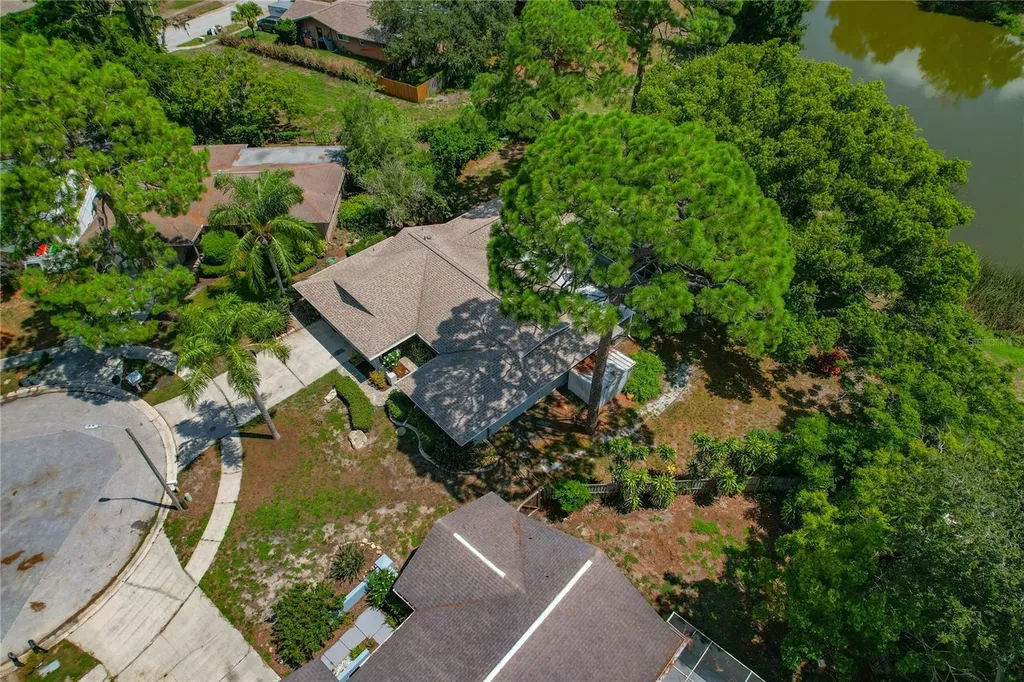 505 Bamboo Court Tarpon Springs FL 34689