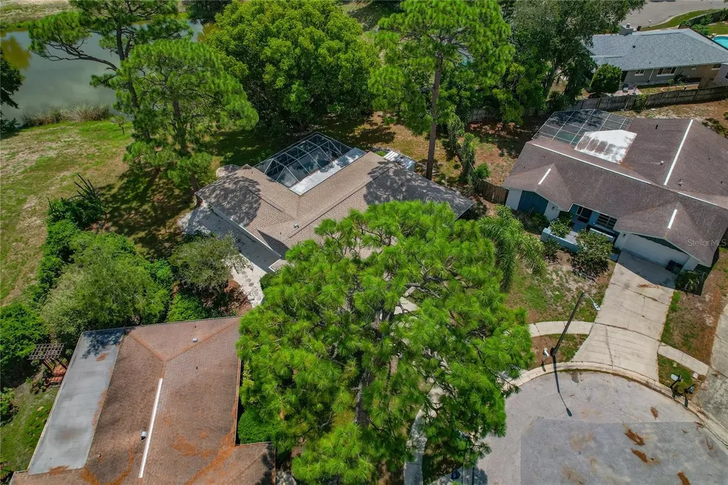 505 Bamboo Court Tarpon Springs FL 34689