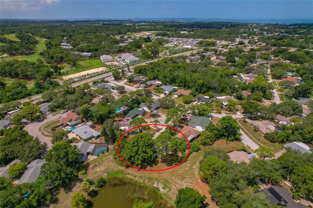 505 Bamboo Court Tarpon Springs FL 34689