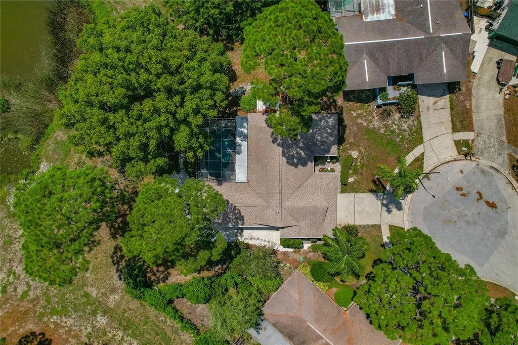 505 Bamboo Court Tarpon Springs FL 34689