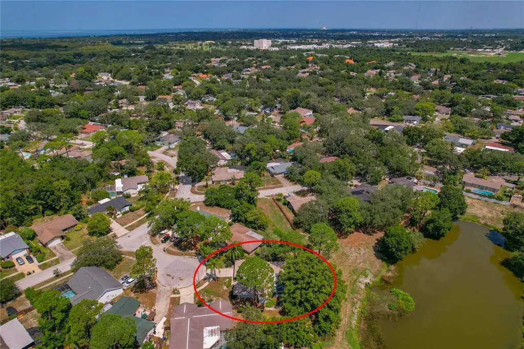 505 Bamboo Court Tarpon Springs FL 34689