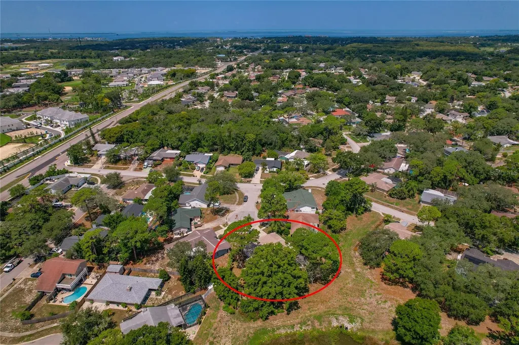 505 Bamboo Court Tarpon Springs FL 34689