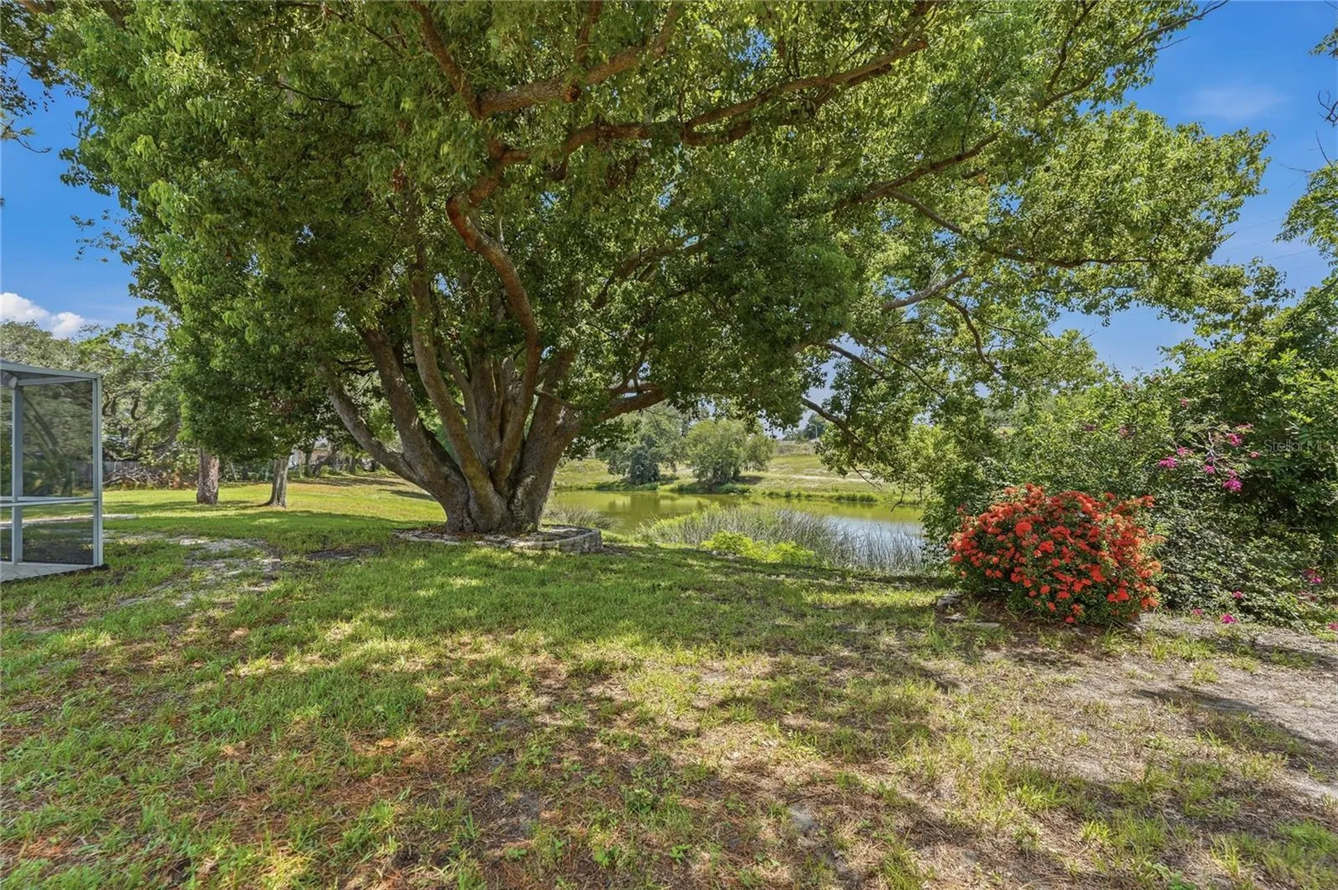 505 Bamboo Court Tarpon Springs FL 34689