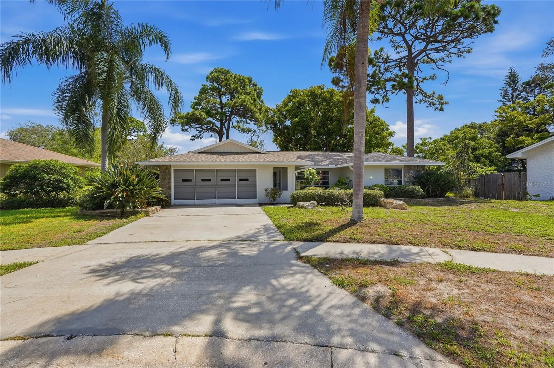 505 Bamboo Court Tarpon Springs FL 34689