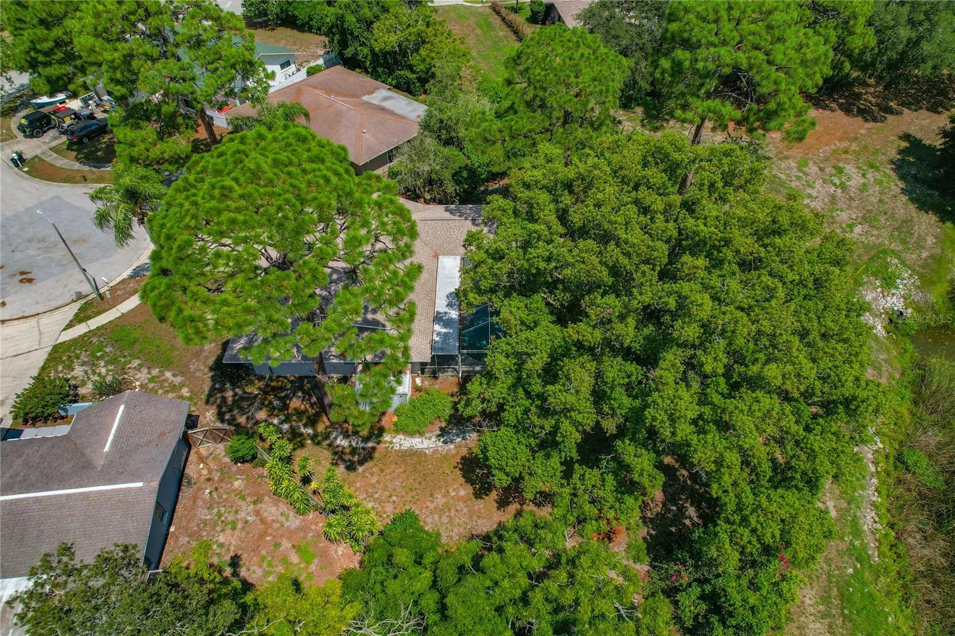 505 Bamboo Court Tarpon Springs FL 34689