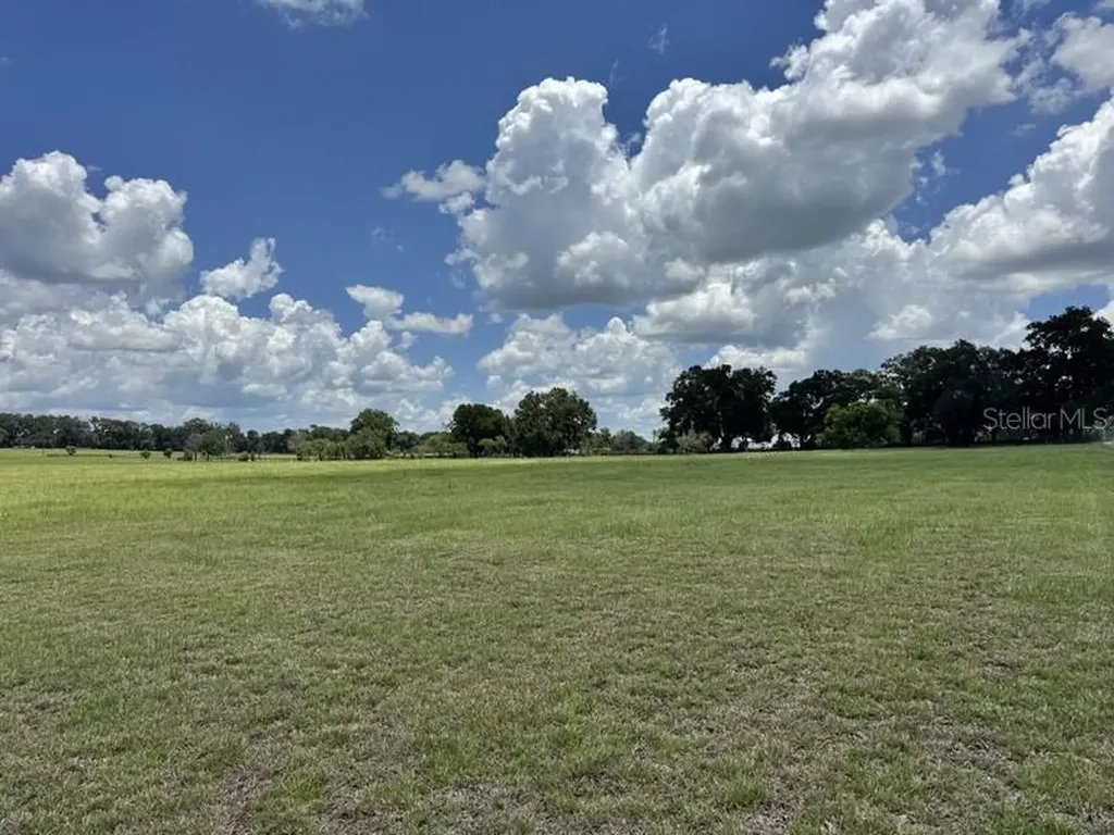 NW 131 Street Reddick FL 32686