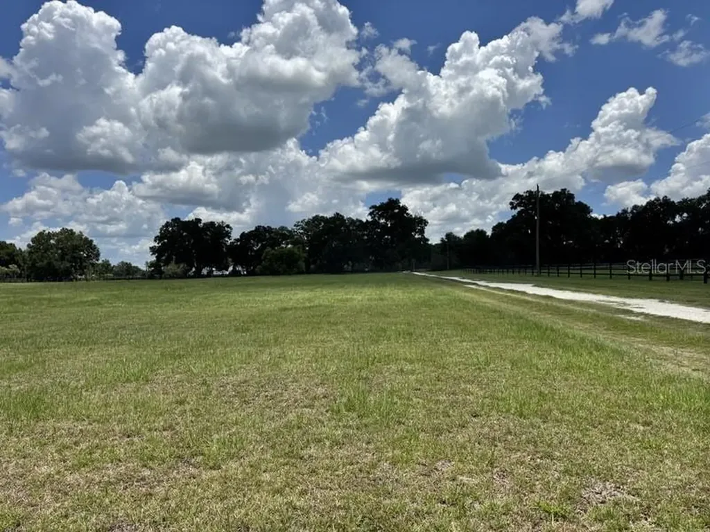 NW 131 Street Reddick FL 32686