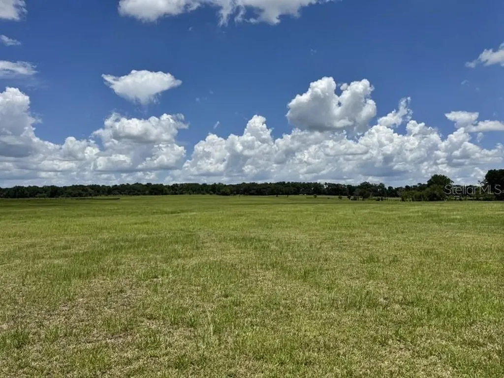 NW 131 Street Reddick FL 32686
