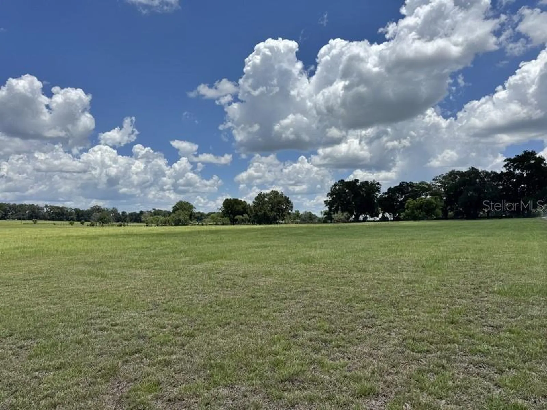 NW 131 Street Reddick FL 32686
