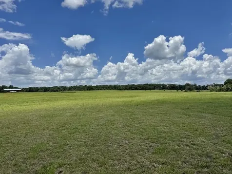 NW 131 Street Reddick FL 32686