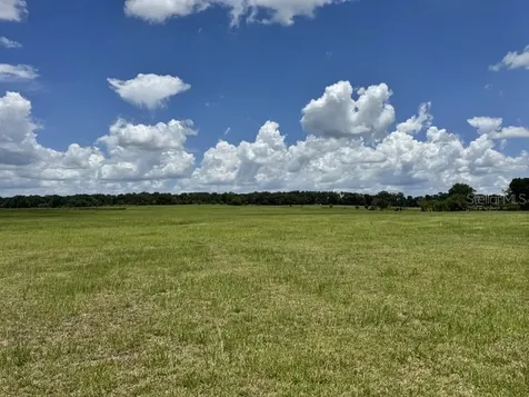 NW 131 Street Reddick FL 32686