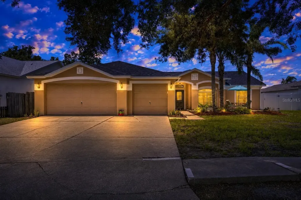 10313 Tarragon Drive Riverview FL 33569
