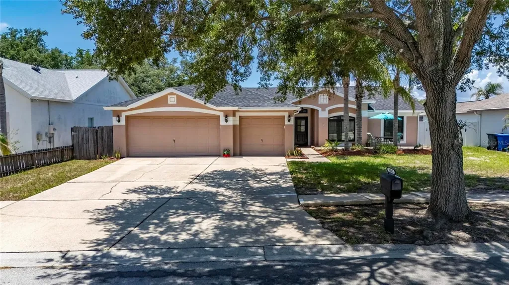 10313 Tarragon Drive Riverview FL 33569
