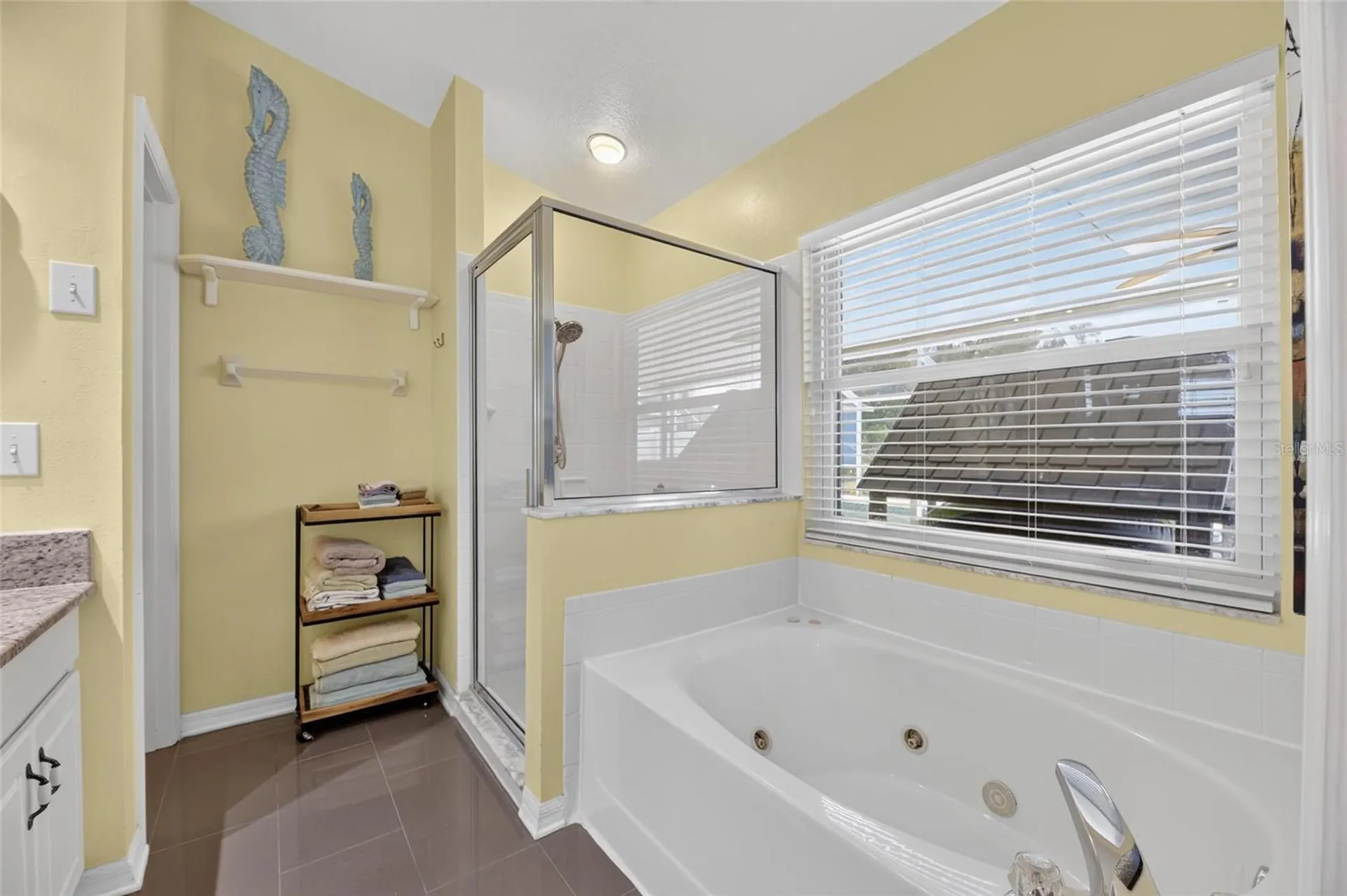 10313 Tarragon Drive Riverview FL 33569