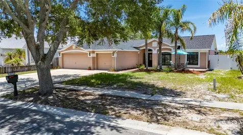 10313 Tarragon Drive Riverview FL 33569