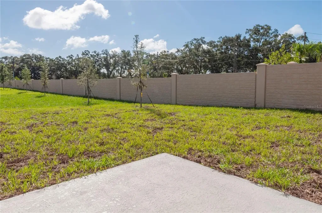 416 Adams Ale Place Davenport FL 33837