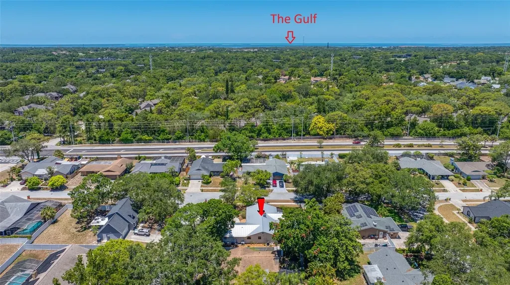 2409 Osprey Avenue Palm Harbor FL 34683