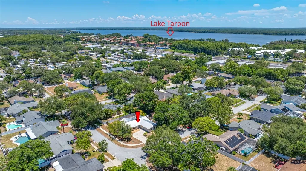 2409 Osprey Avenue Palm Harbor FL 34683