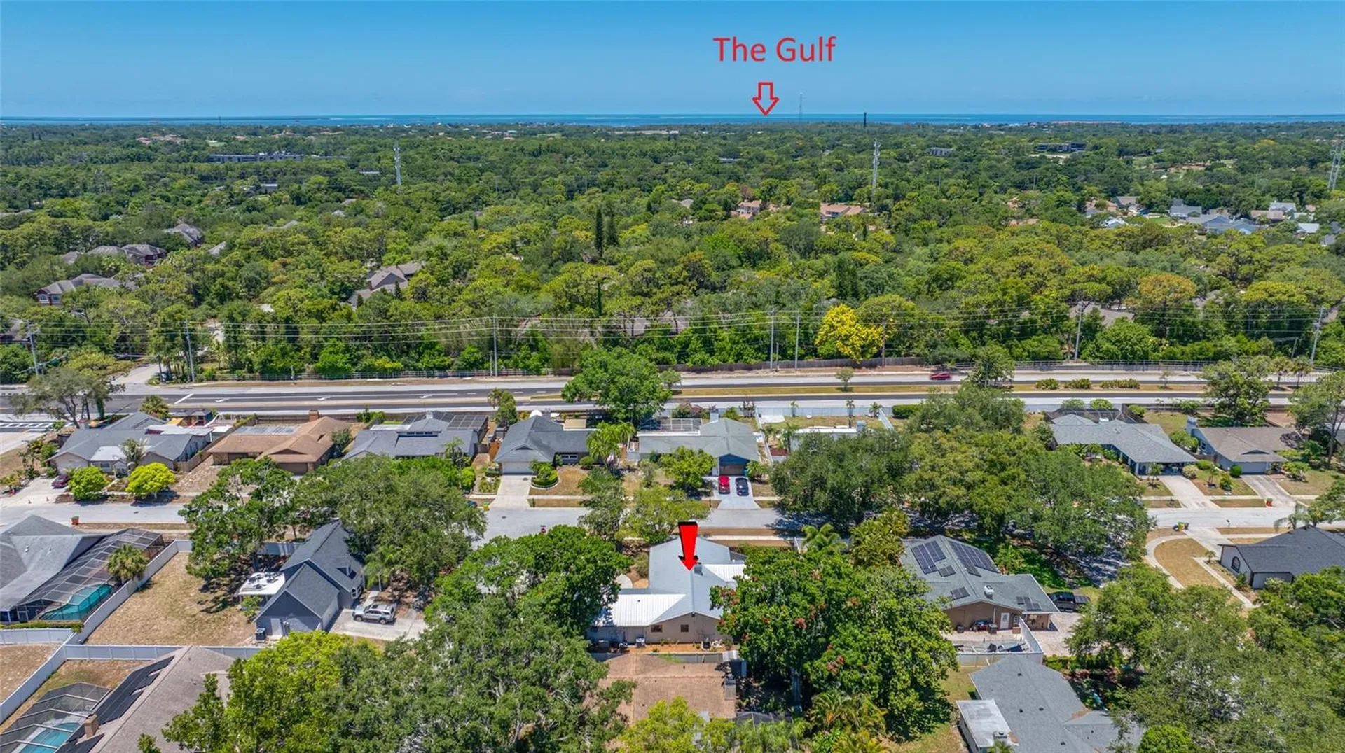 2409 Osprey Avenue Palm Harbor FL 34683