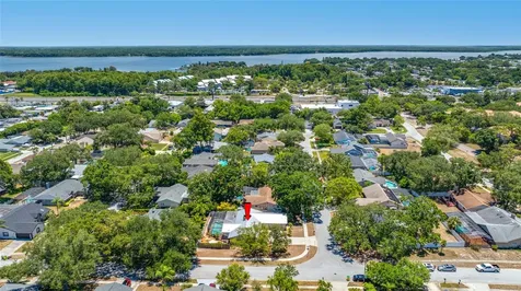 2409 Osprey Avenue Palm Harbor FL 34683