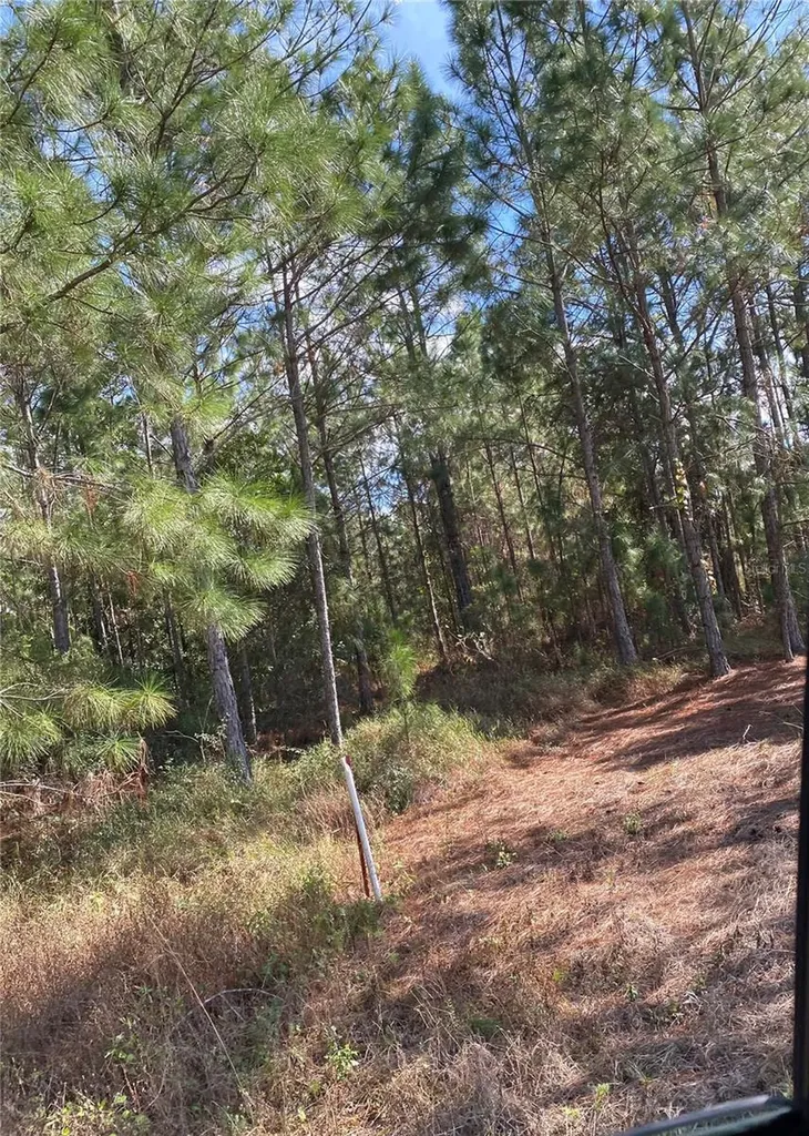 Polk City FL 33868