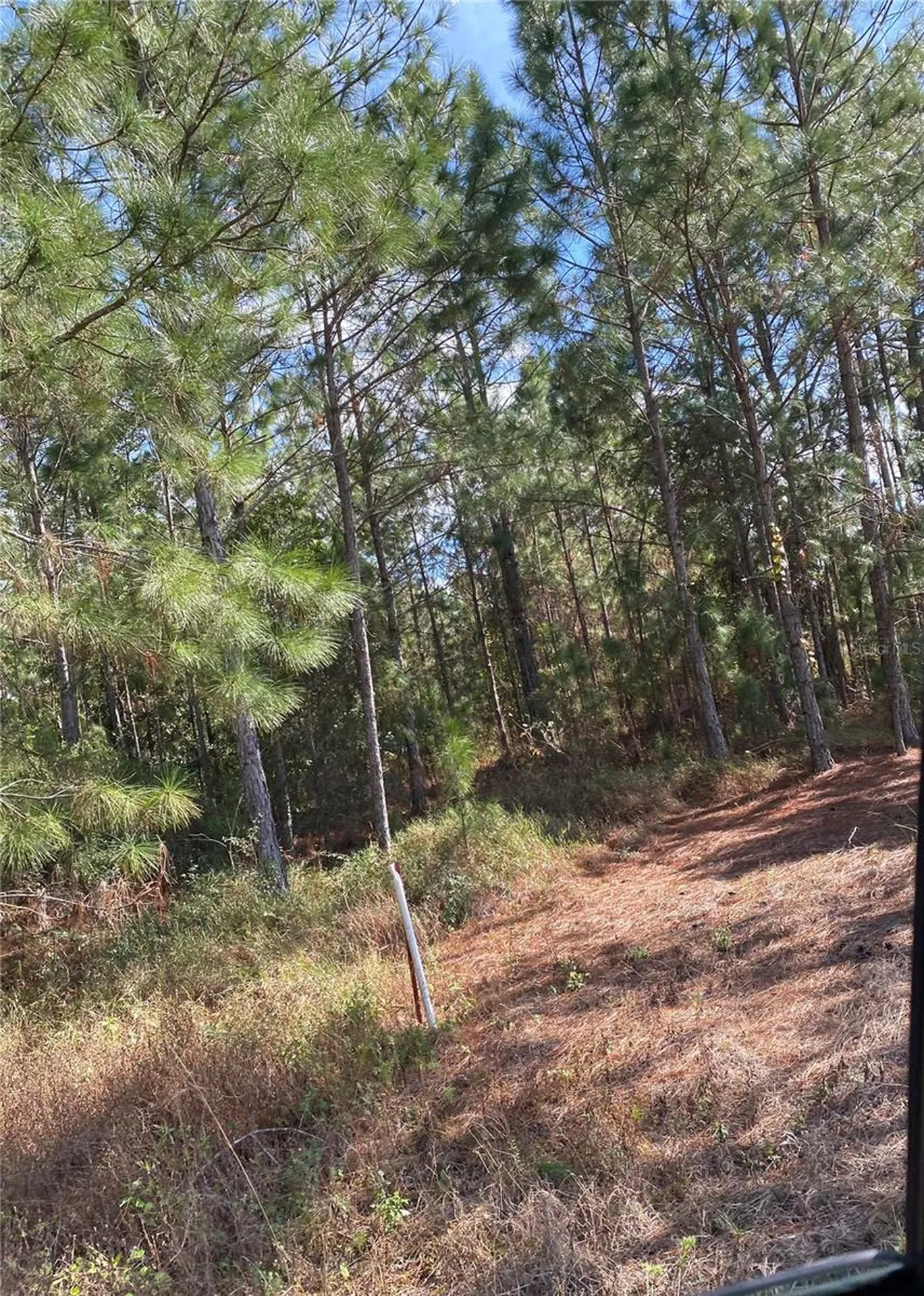 Polk City FL 33868