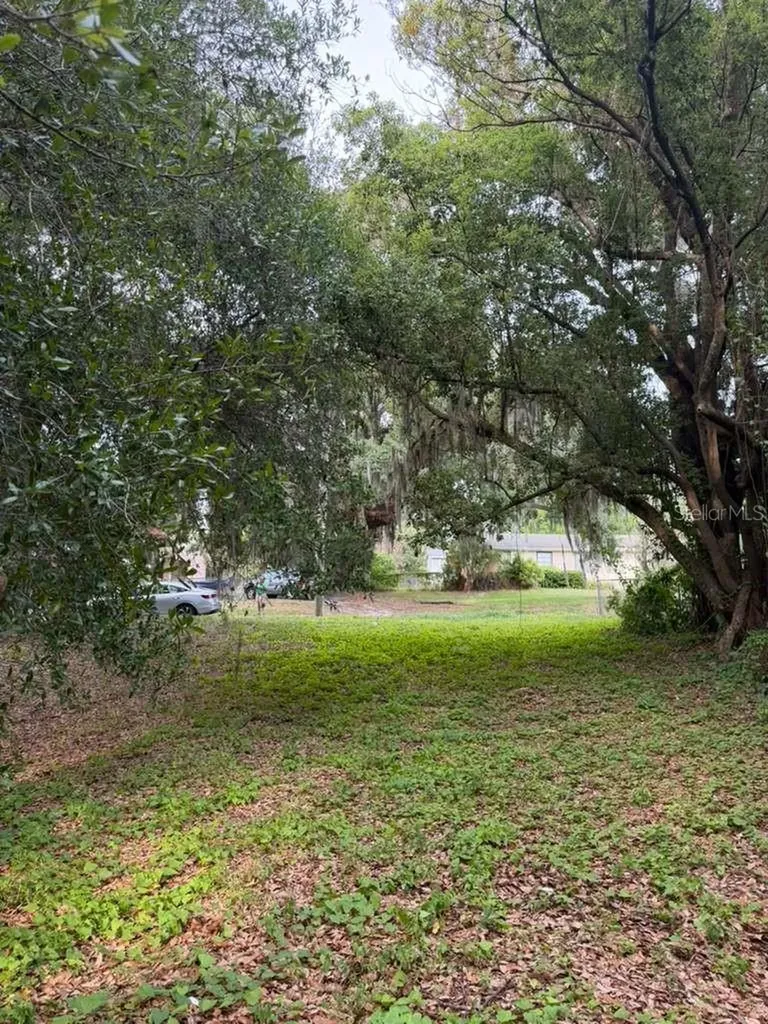 1444 Kettles Avenue Lakeland FL 33805