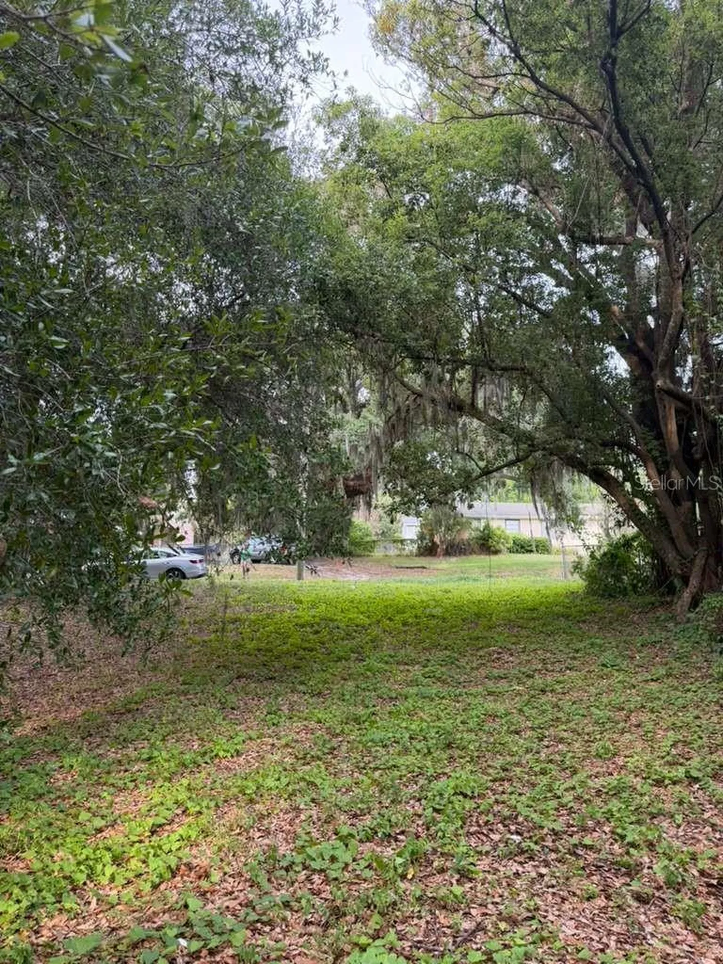 1444 Kettles Avenue Lakeland FL 33805
