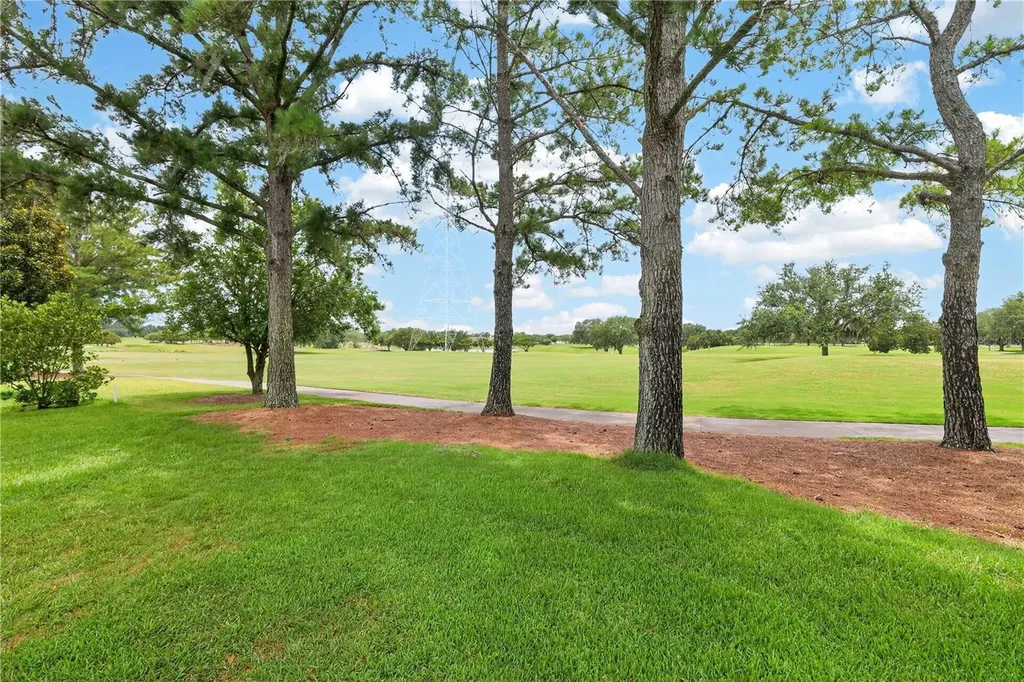 16815 SE 85th Belknap Avenue The Villages FL 32162