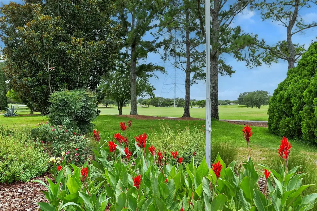 16815 SE 85th Belknap Avenue The Villages FL 32162