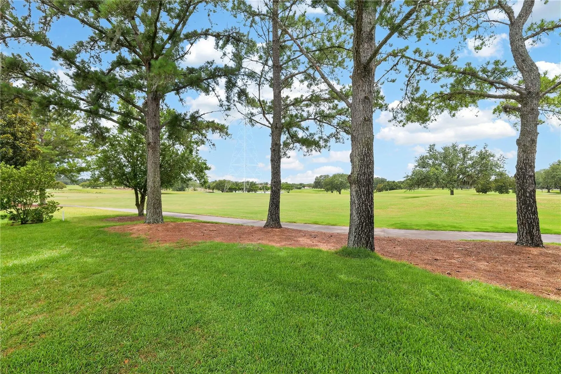 16815 SE 85th Belknap Avenue The Villages FL 32162