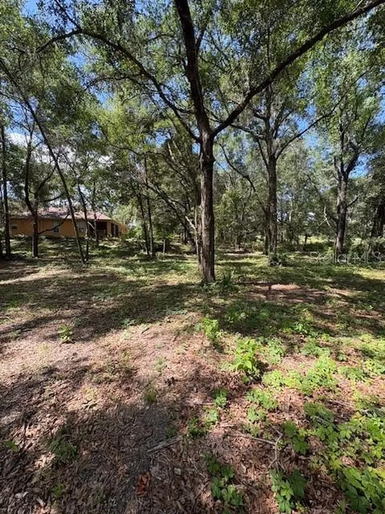 9273 SW 197th Circle Dunnellon FL 34432
