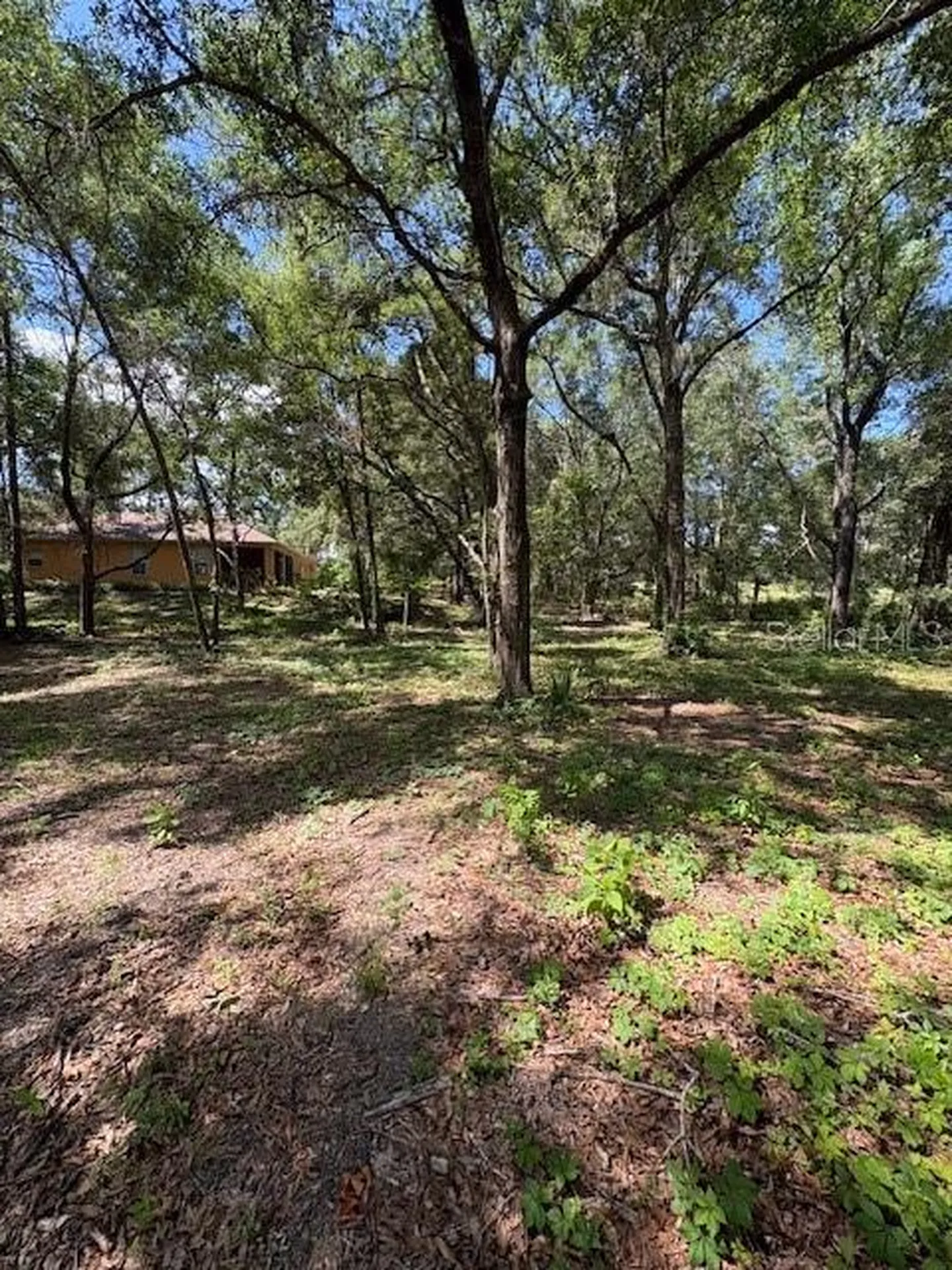 9273 SW 197th Circle Dunnellon FL 34432