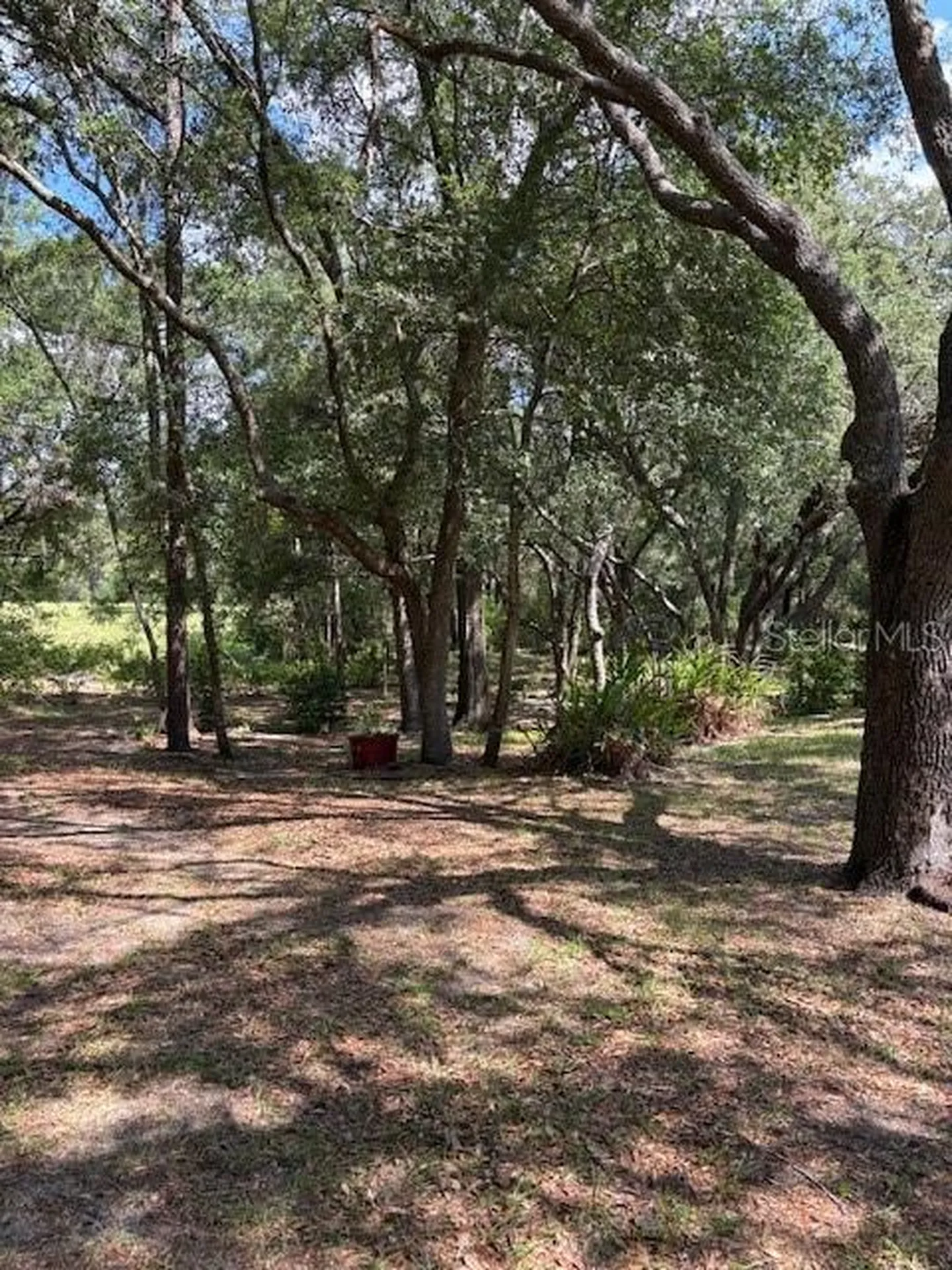 9273 SW 197th Circle Dunnellon FL 34432