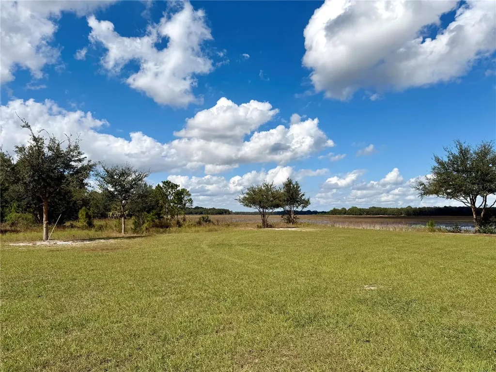 Bonsmara Drive Groveland FL 34736