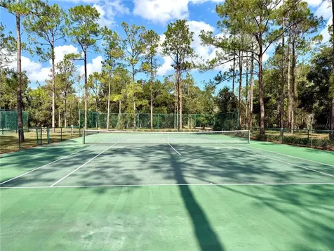 Bonsmara Drive Groveland FL 34736